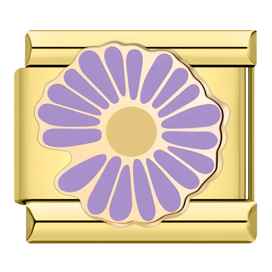 ASTER FLOWER