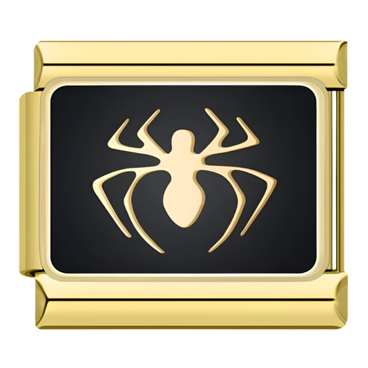 SPIDER